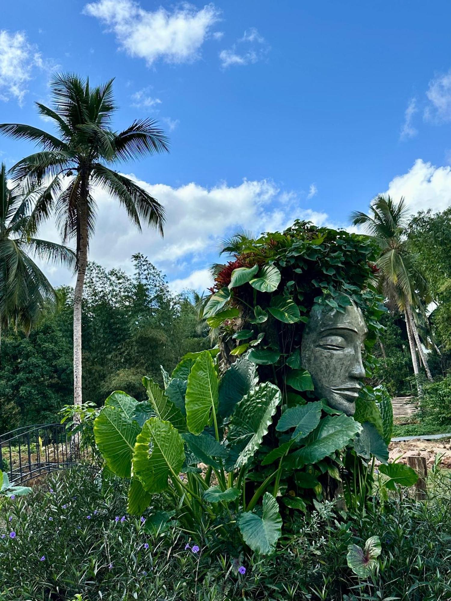 Leisy'S Garden Hostel & Rooms Samana Esterno foto